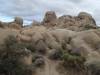 385 - Joshua Tree NP
