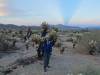 418 - Joshua Tree NP