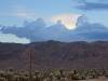 435 - Joshua Tree NP