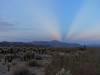 439 - Joshua Tree NP