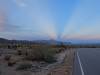 443 - Joshua Tree NP