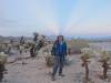447 - Joshua Tree NP