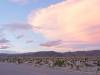 459 - Joshua Tree NP