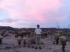 468 - Joshua Tree NP