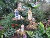 719 - 20160118 Vancouver Bloedel Floral Conservatory