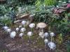 720 - 20160118 Vancouver Bloedel Floral Conservatory