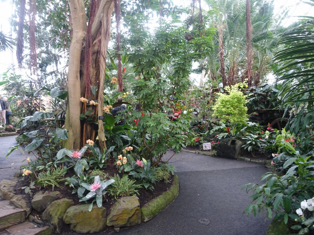 715 - 20160118 Vancouver Bloedel Floral Conservatory