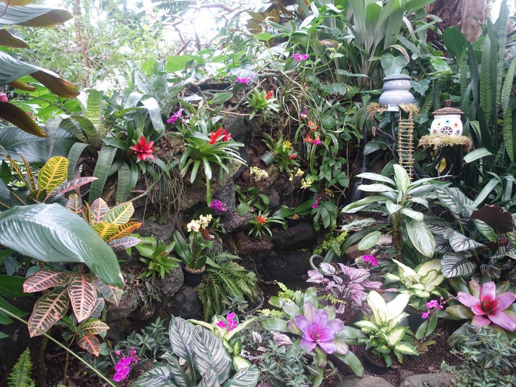 718 - 20160118 Vancouver Bloedel Floral Conservatory