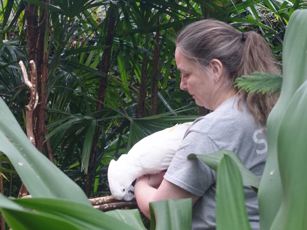 756 - 20160118 Vancouver Bloedel Floral Conservatory