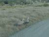 892 - 20160129 Australia Melbourne
