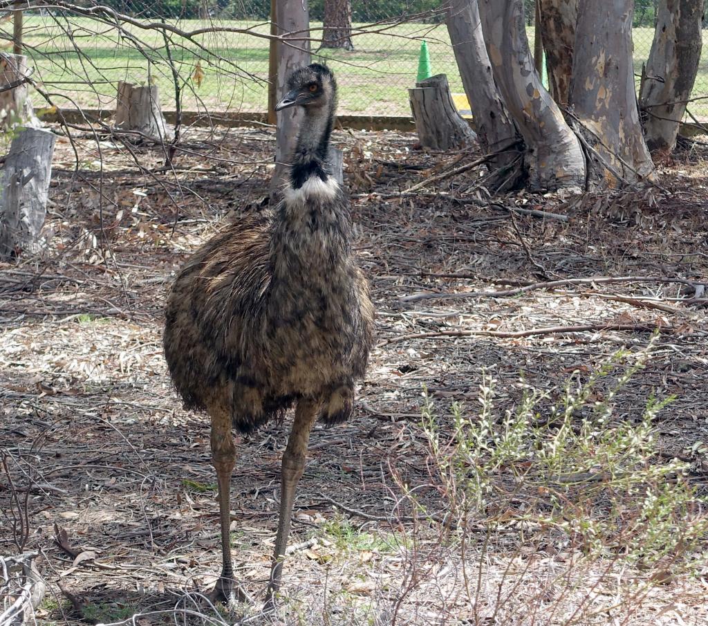 109 - 20160129 Australia Melbourne