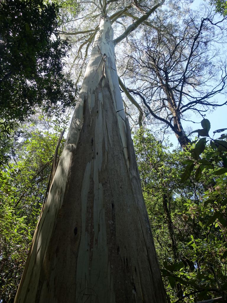 283 - 20160129 Australia Melbourne