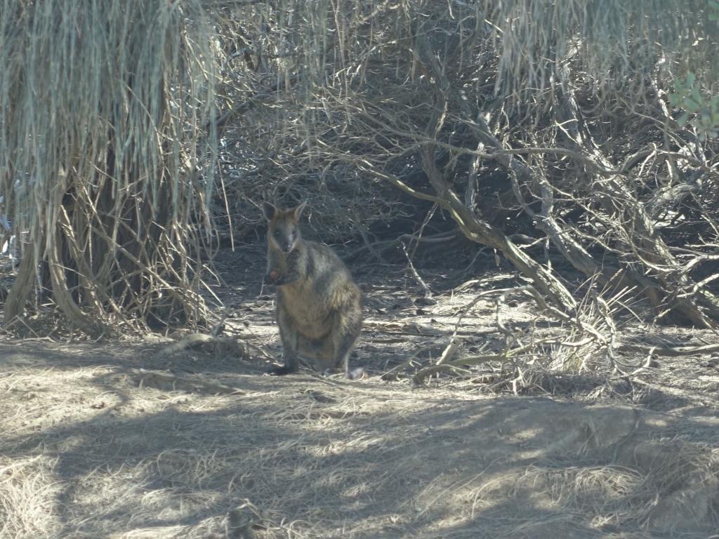 802 - 20160129 Australia Melbourne