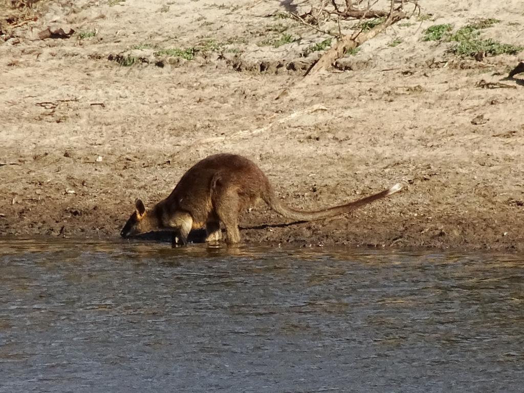 821 - 20160129 Australia Melbourne