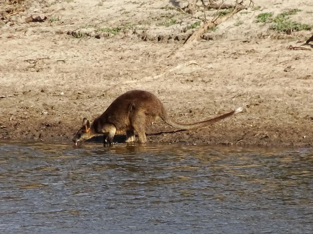 822 - 20160129 Australia Melbourne