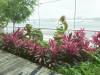 101 - 20160420 Day01 Singapore