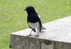 258 - 20160420 Day01 Singapore