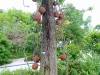 262 - 20160420 Day01 Singapore