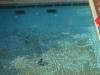 143 - 20160421 Day02 Sentosa Island