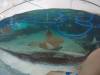 222 - 20160421 Day02 Sentosa Island Adventure Cove Waterpark