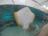 224 - 20160421 Day02 Sentosa Island Adventure Cove Waterpark