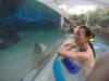 227 - 20160421 Day02 Sentosa Island Adventure Cove Waterpark