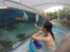 228 - 20160421 Day02 Sentosa Island Adventure Cove Waterpark