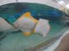 229 - 20160421 Day02 Sentosa Island Adventure Cove Waterpark