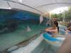 232 - 20160421 Day02 Sentosa Island Adventure Cove Waterpark