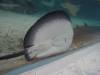 233 - 20160421 Day02 Sentosa Island Adventure Cove Waterpark