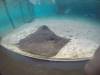 235 - 20160421 Day02 Sentosa Island Adventure Cove Waterpark