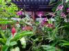 145 - 20160422 Day03 Singapore