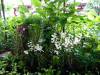 154 - 20160422 Day03 Singapore