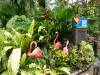 229 - 20160421 Day04 Science Museum Bird Park Night Zoo
