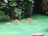 230 - 20160421 Day04 Science Museum Bird Park Night Zoo