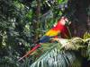 239 - 20160421 Day04 Science Museum Bird Park Night Zoo