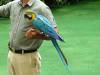 240 - 20160421 Day04 Science Museum Bird Park Night Zoo