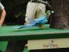 241 - 20160421 Day04 Science Museum Bird Park Night Zoo