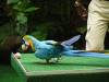 243 - 20160421 Day04 Science Museum Bird Park Night Zoo