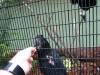 491 - 20160421 Day04 Science Museum Bird Park Night Zoo