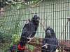 492 - 20160421 Day04 Science Museum Bird Park Night Zoo