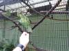 493 - 20160421 Day04 Science Museum Bird Park Night Zoo