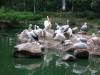 494 - 20160421 Day04 Science Museum Bird Park Night Zoo