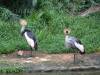 496 - 20160421 Day04 Science Museum Bird Park Night Zoo