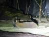 500 - 20160421 Day04 Science Museum Bird Park Night Zoo