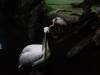 509 - 20160421 Day04 Science Museum Bird Park Night Zoo