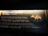 512 - 20160421 Day04 Science Museum Bird Park Night Zoo