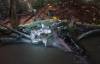 517 - 20160421 Day04 Science Museum Bird Park Night Zoo