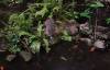 520 - 20160421 Day04 Science Museum Bird Park Night Zoo
