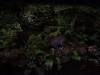 522 - 20160421 Day04 Science Museum Bird Park Night Zoo